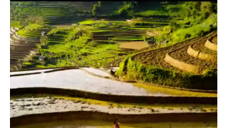 Mù Cang Chải - Những cánh đồng ruộng bậc thang mê hồn